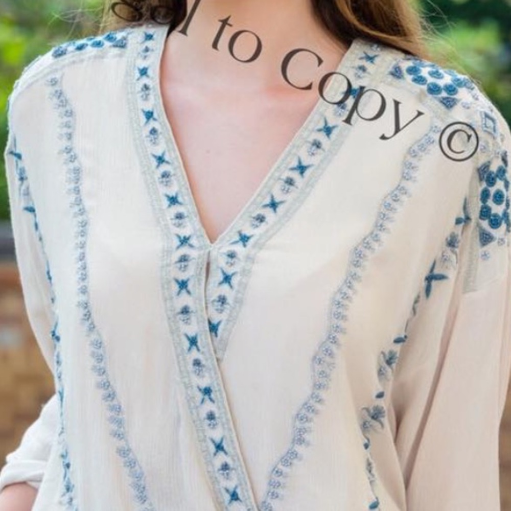 Free people embroidered top